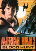 Amerykański ninja 3 ekino