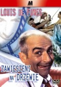 Zawieszeni na drzewie ekino