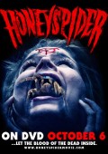 Honeyspider ekino