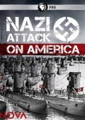 Atak nazistów na Stany Zjednoczone ekino