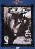 Nosorożce. Klątwa magicznego rogu ekino