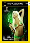 Medycyna i marihuana ekino