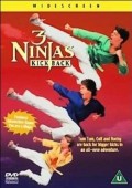 Małolaty Ninja na wojennej ścieżce ekino