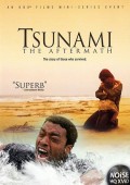 Tsunami: Po katastrofie ekino