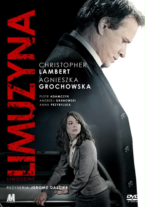 Kierowca cały film ekino