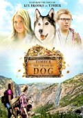 Timber the Treasure Dog ekino