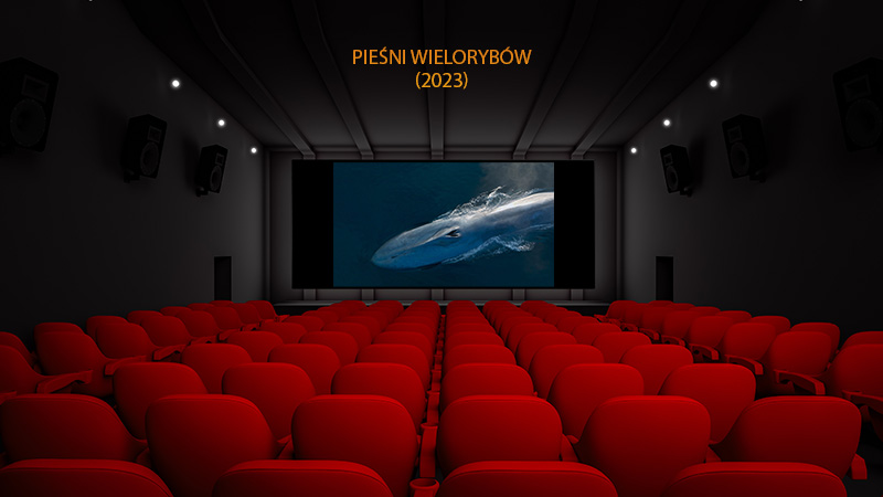 Pieśni wielorybów cda vider